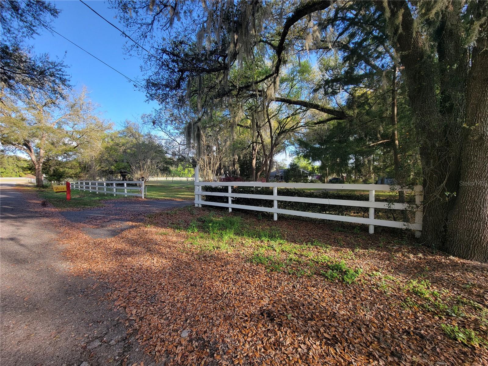 8028 SE 129TH PL, SUMMERFIELD, FL, 34491