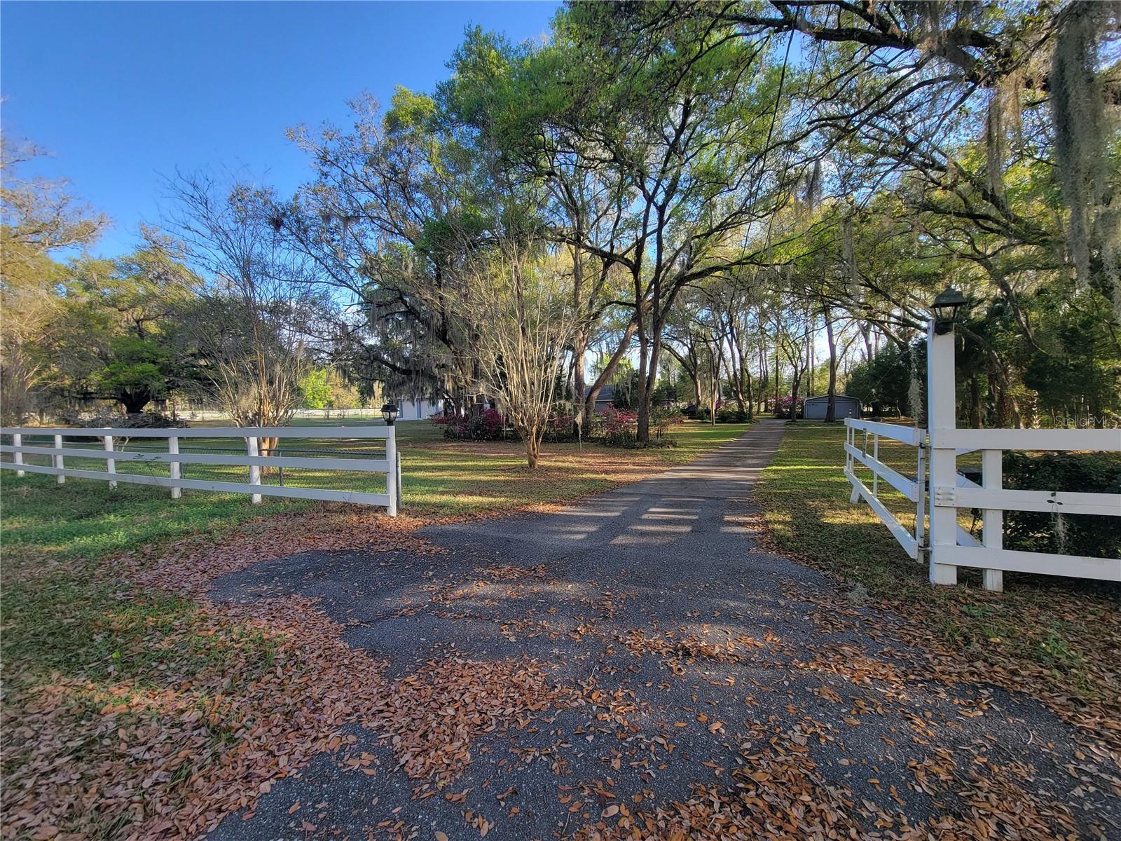 8028 SE 129TH PL, SUMMERFIELD, FL, 34491