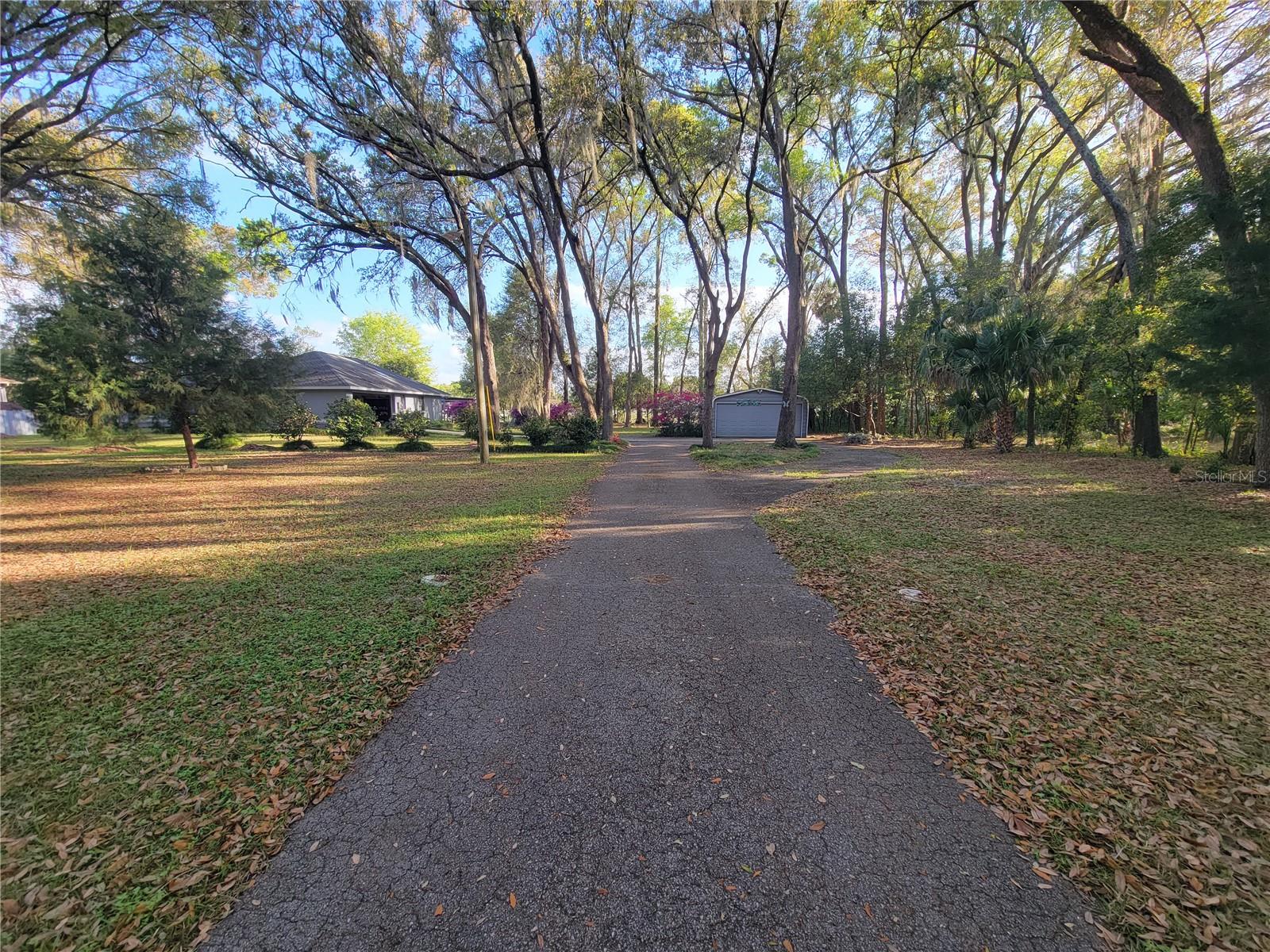 8028 SE 129TH PL, SUMMERFIELD, FL, 34491