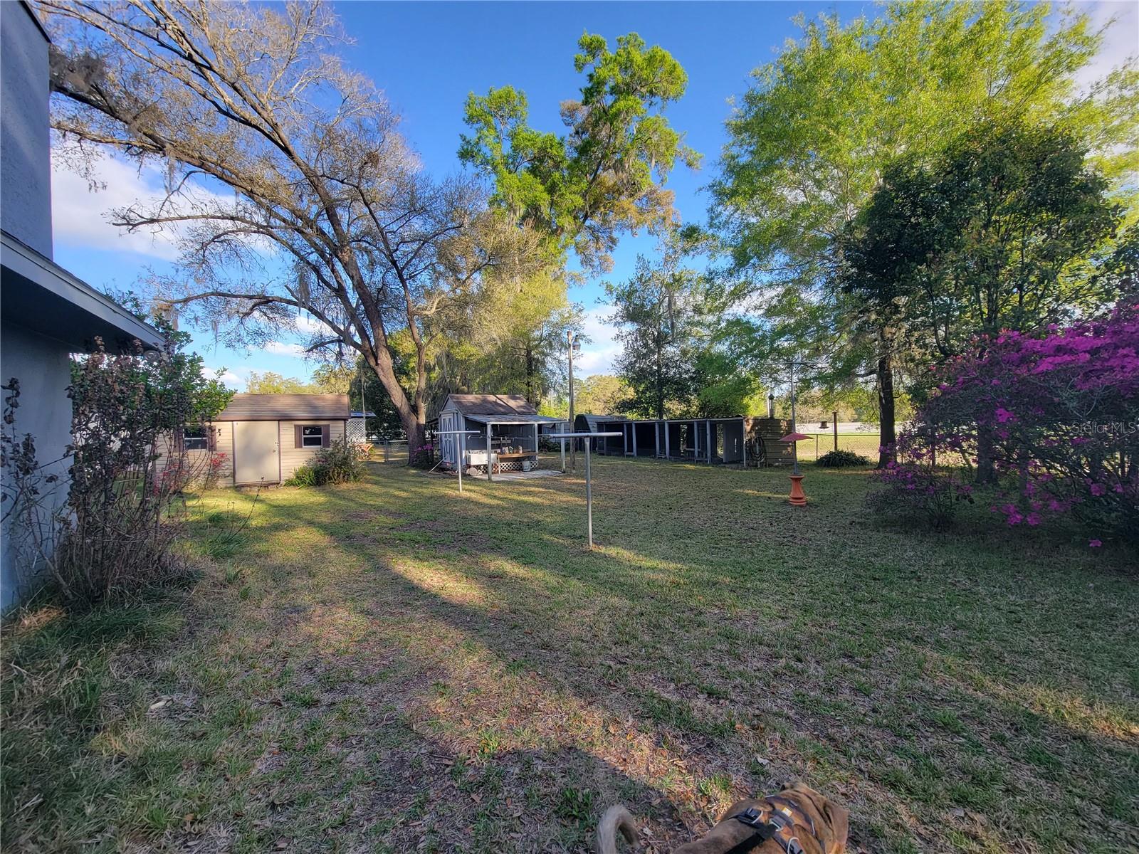 8028 SE 129TH PL, SUMMERFIELD, FL, 34491
