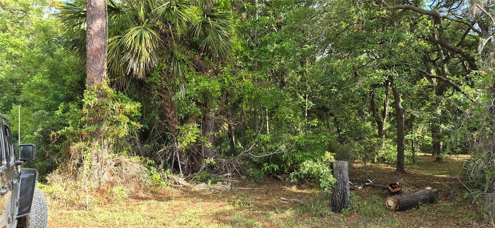 9351 NW 120TH ST, CHIEFLAND, FL, 32626