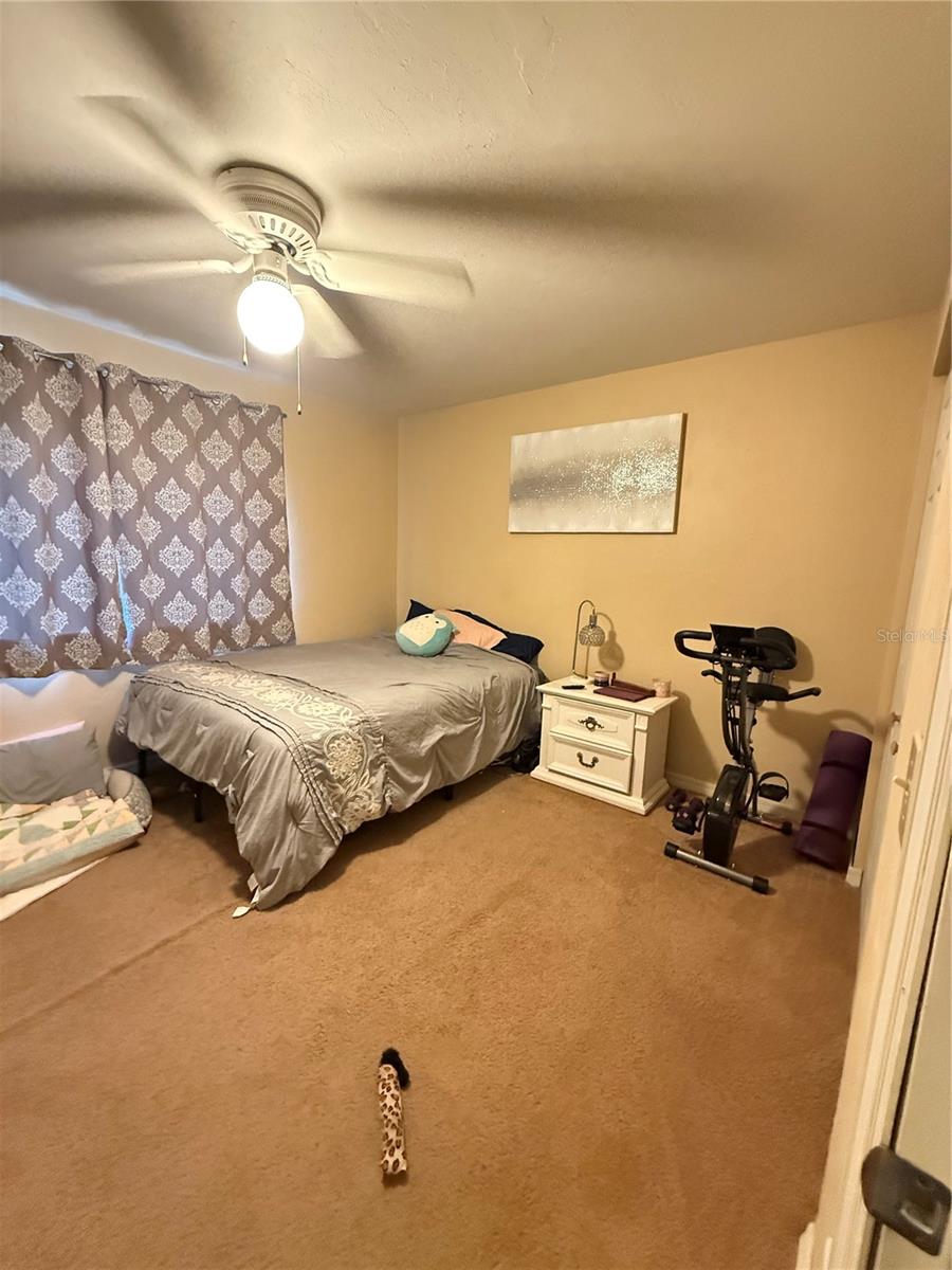 2300 SW 43RD ST #G5, GAINESVILLE, FL, 32607