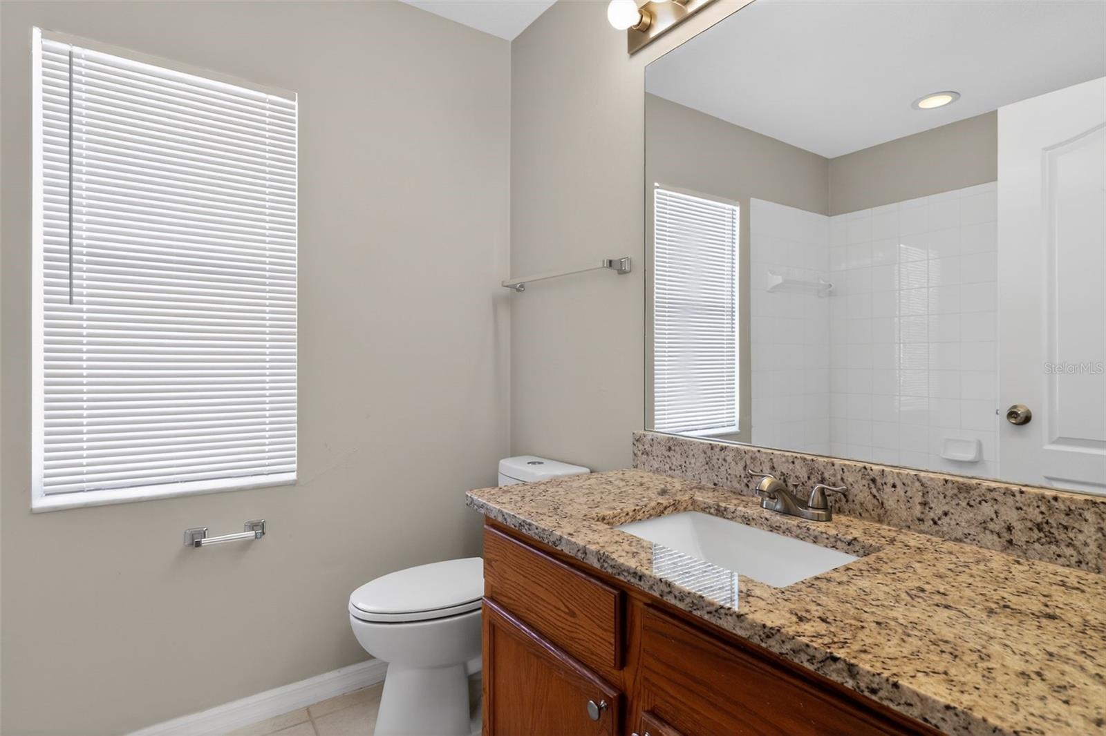 30723 BIRDHOUSE DR, WESLEY CHAPEL, FL, 33545