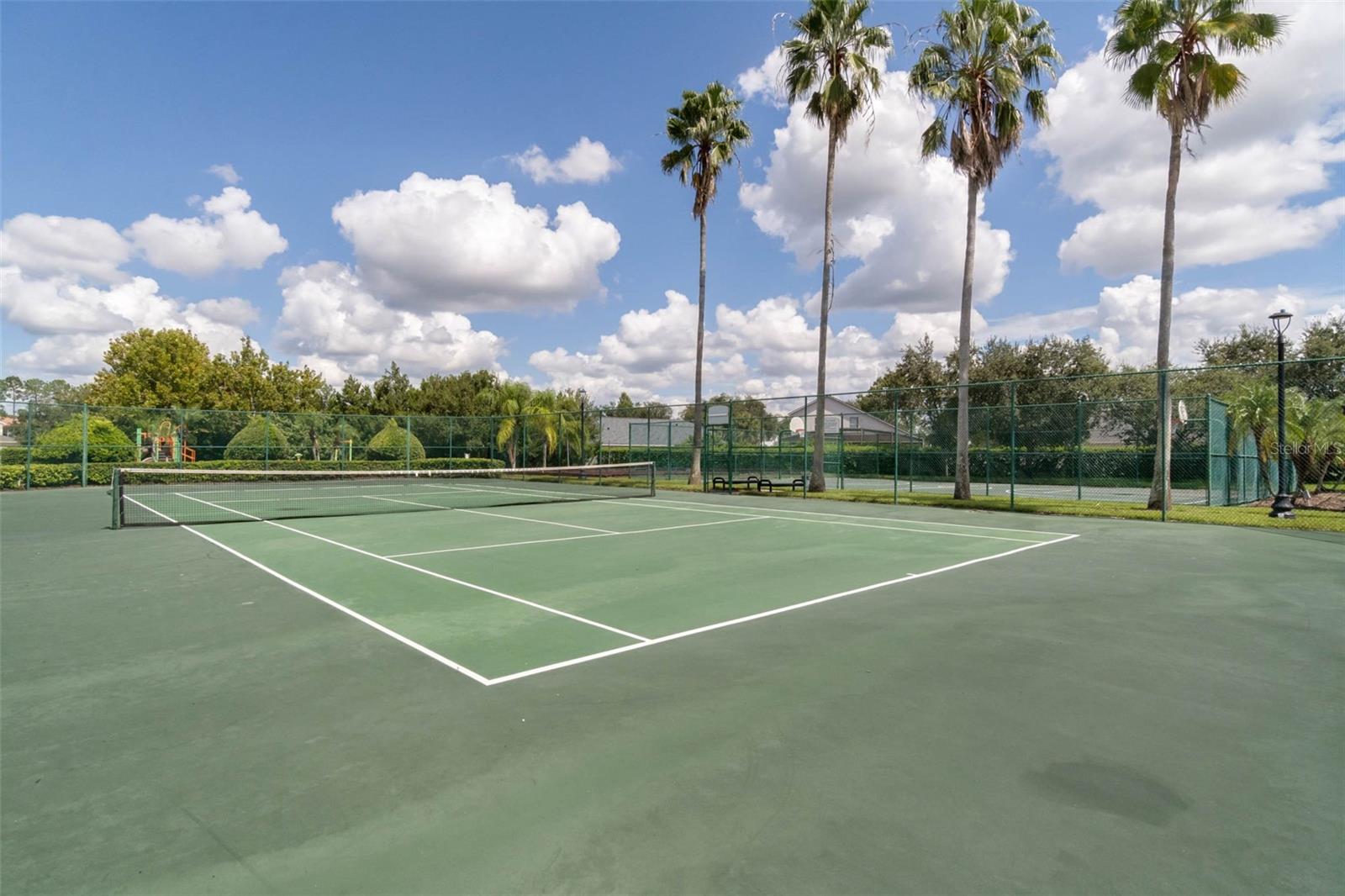 16031 PEBBLE BLUFF LOOP, WINTER GARDEN, FL, 34787