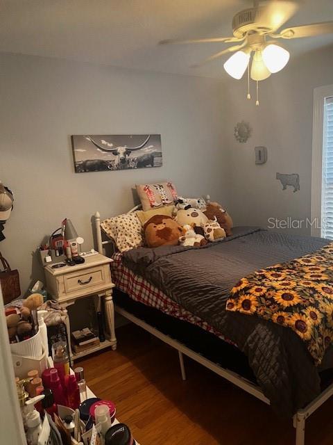 2717 WILDER PARK DR, PLANT CITY, FL, 33566