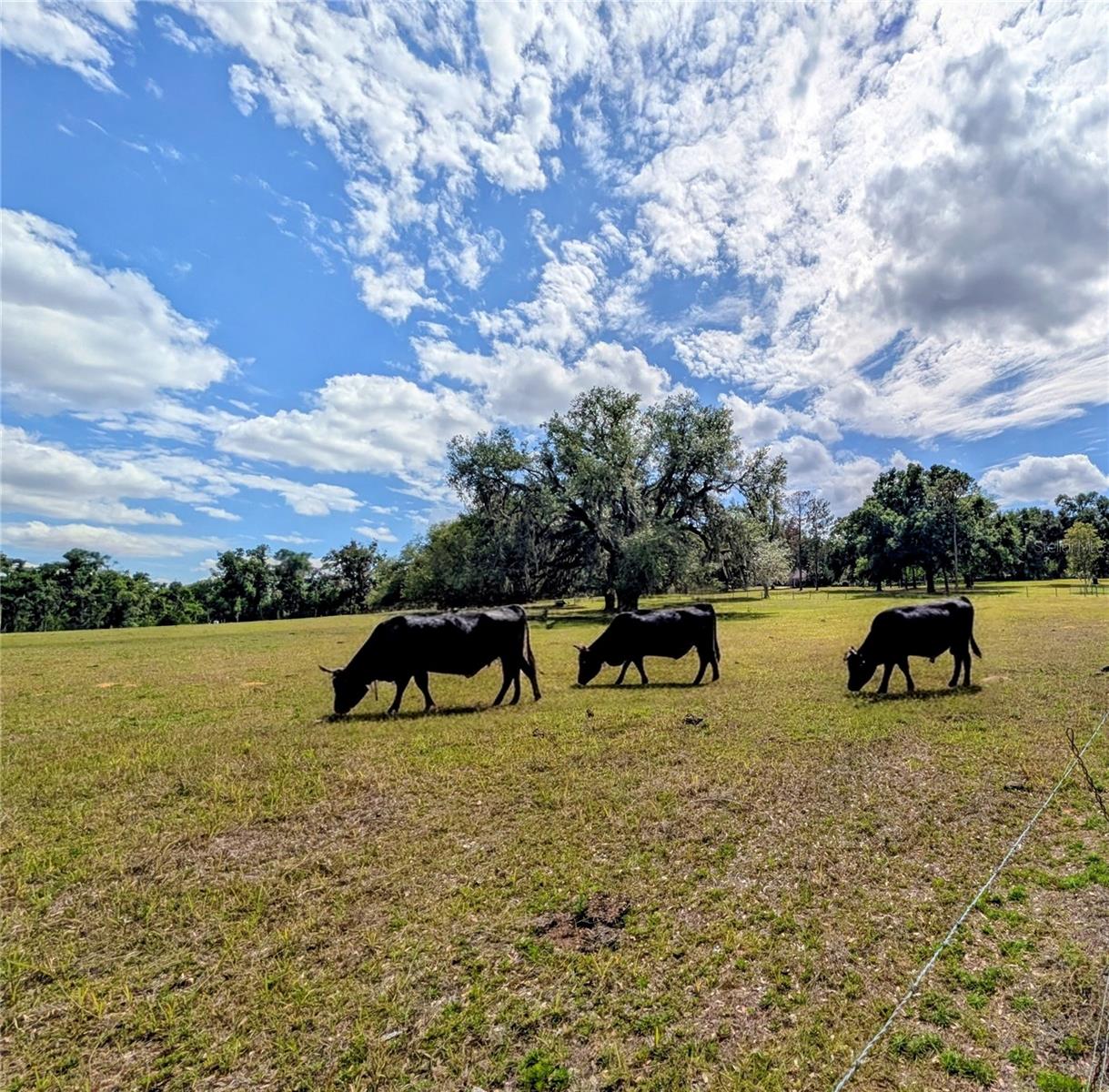 0 SWEETWATER RD, DADE CITY, FL, 33523