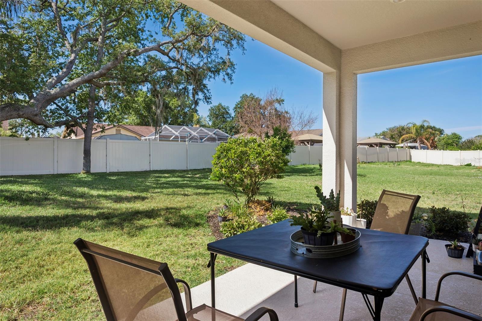 10561 TRANQUIL MEADOW LOOP, RIVERVIEW, FL, 33569