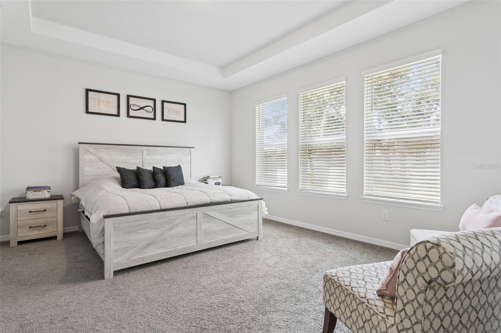 10561 TRANQUIL MEADOW LOOP, RIVERVIEW, FL, 33569