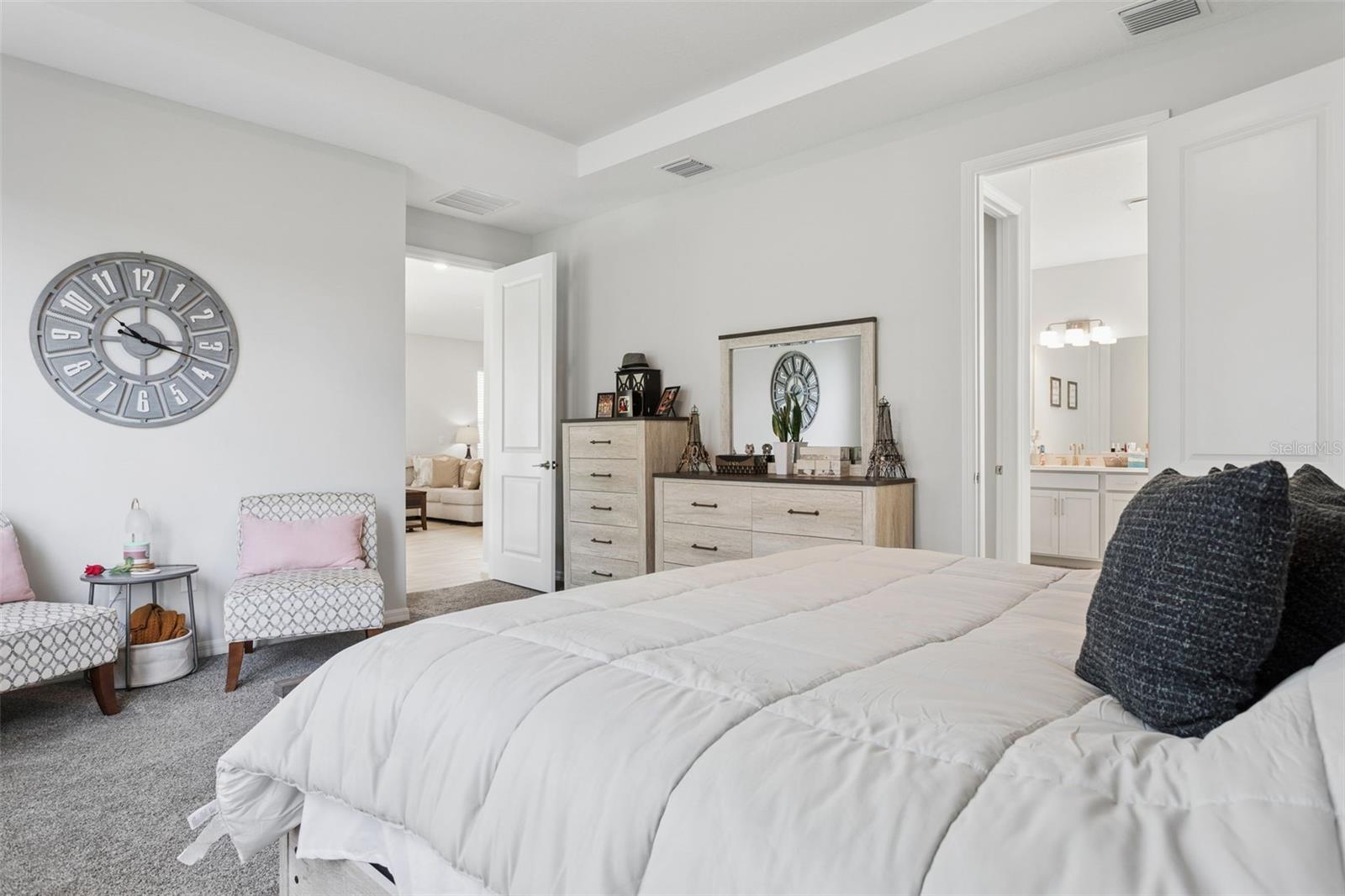 10561 TRANQUIL MEADOW LOOP, RIVERVIEW, FL, 33569