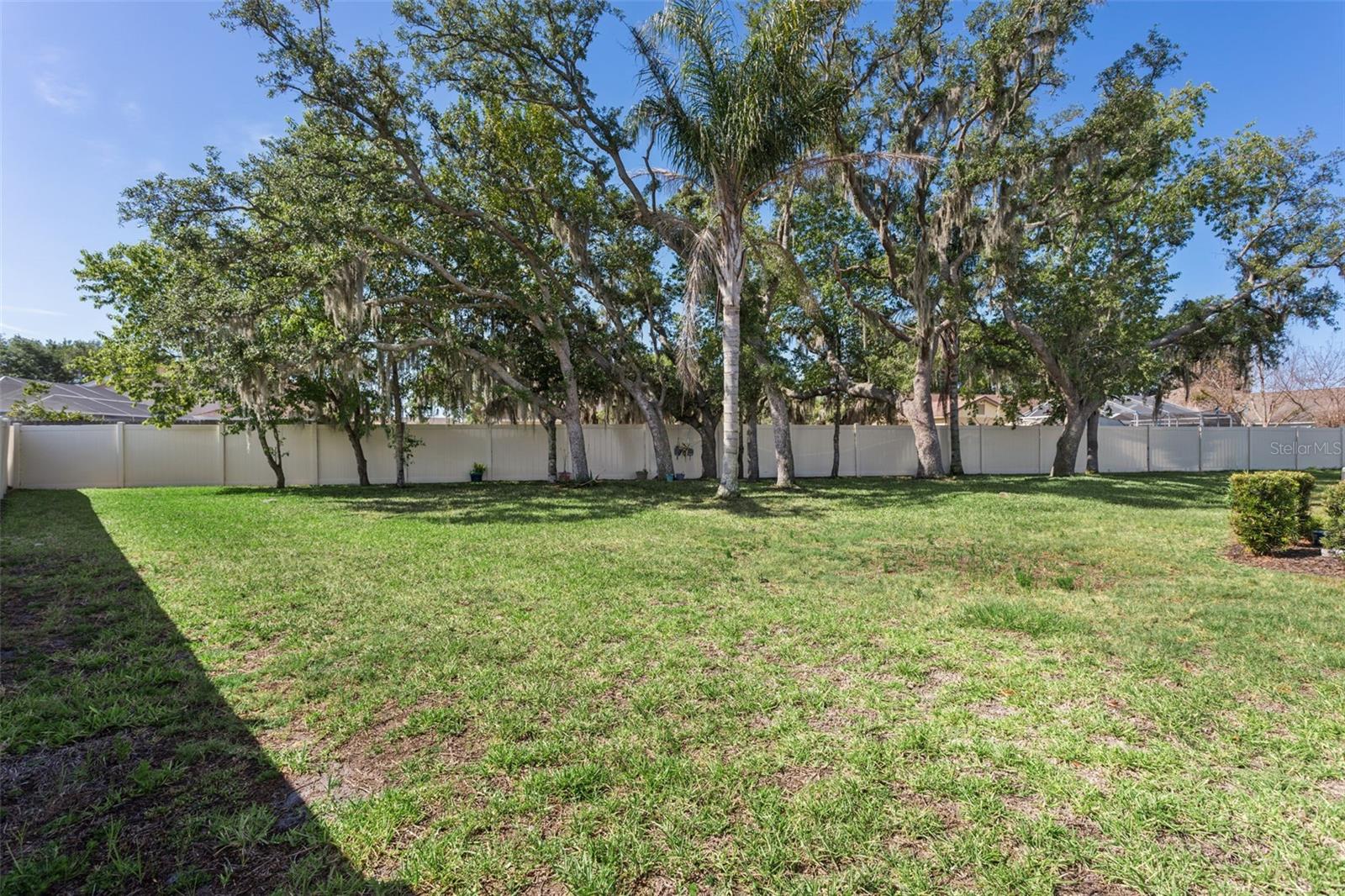 10561 TRANQUIL MEADOW LOOP, RIVERVIEW, FL, 33569