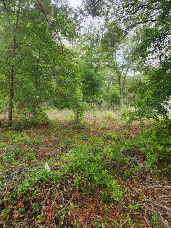 00 MARION OAKS PASS, OCALA, FL, 34473