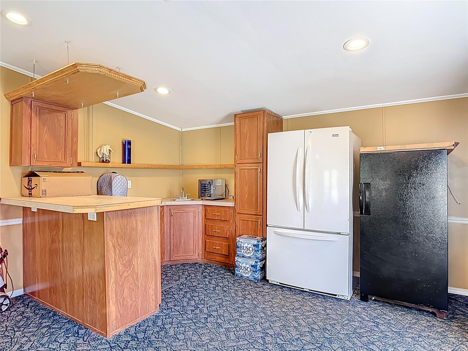 45750 PINE ST, PAISLEY, FL, 32767