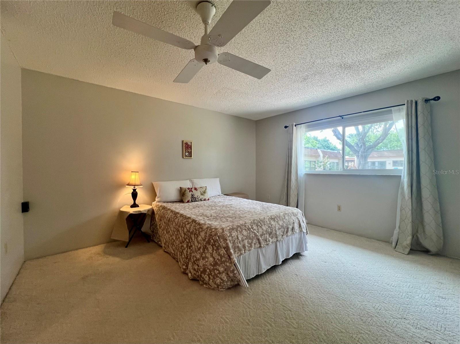 2946 FEATHER DR, CLEARWATER, FL, 33759