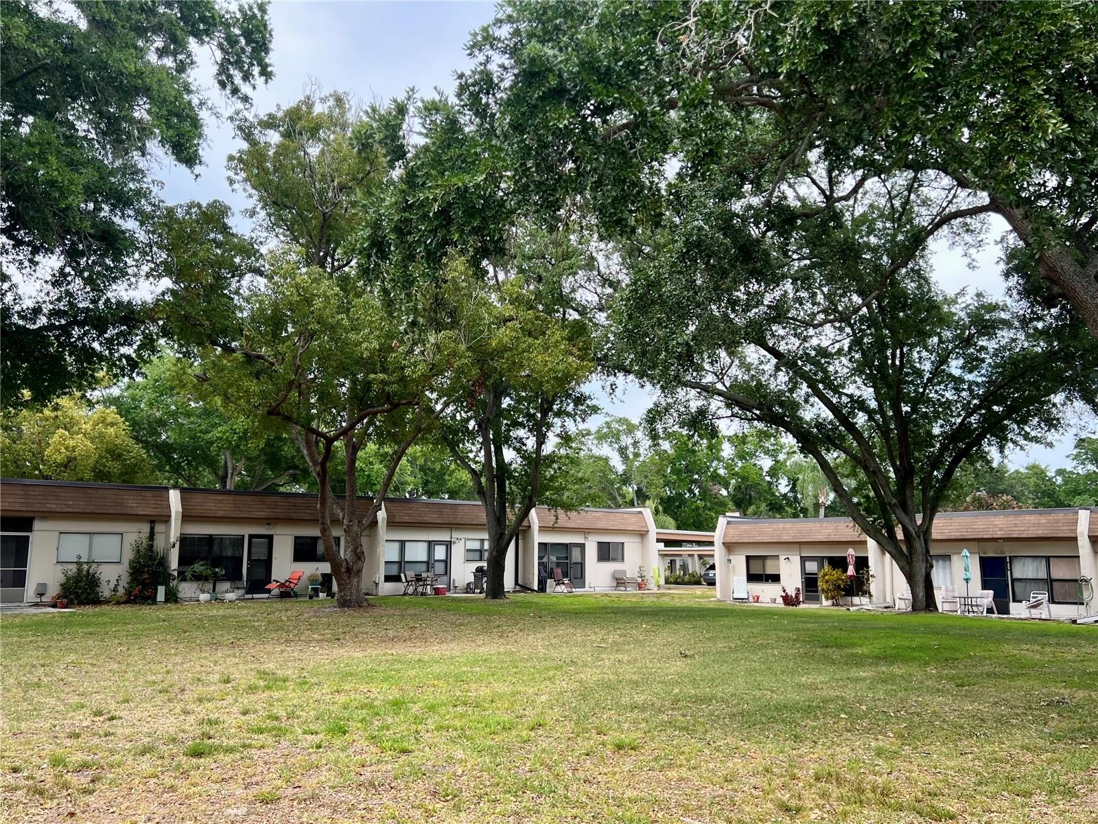 2946 FEATHER DR, CLEARWATER, FL, 33759
