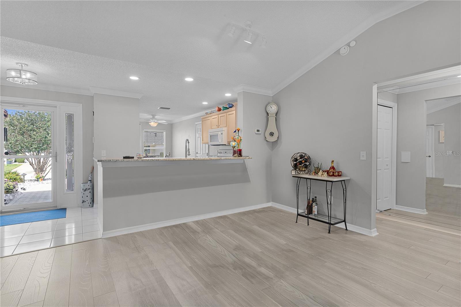 16689 SE 78TH LIVE OAK AVE, THE VILLAGES, FL, 32162