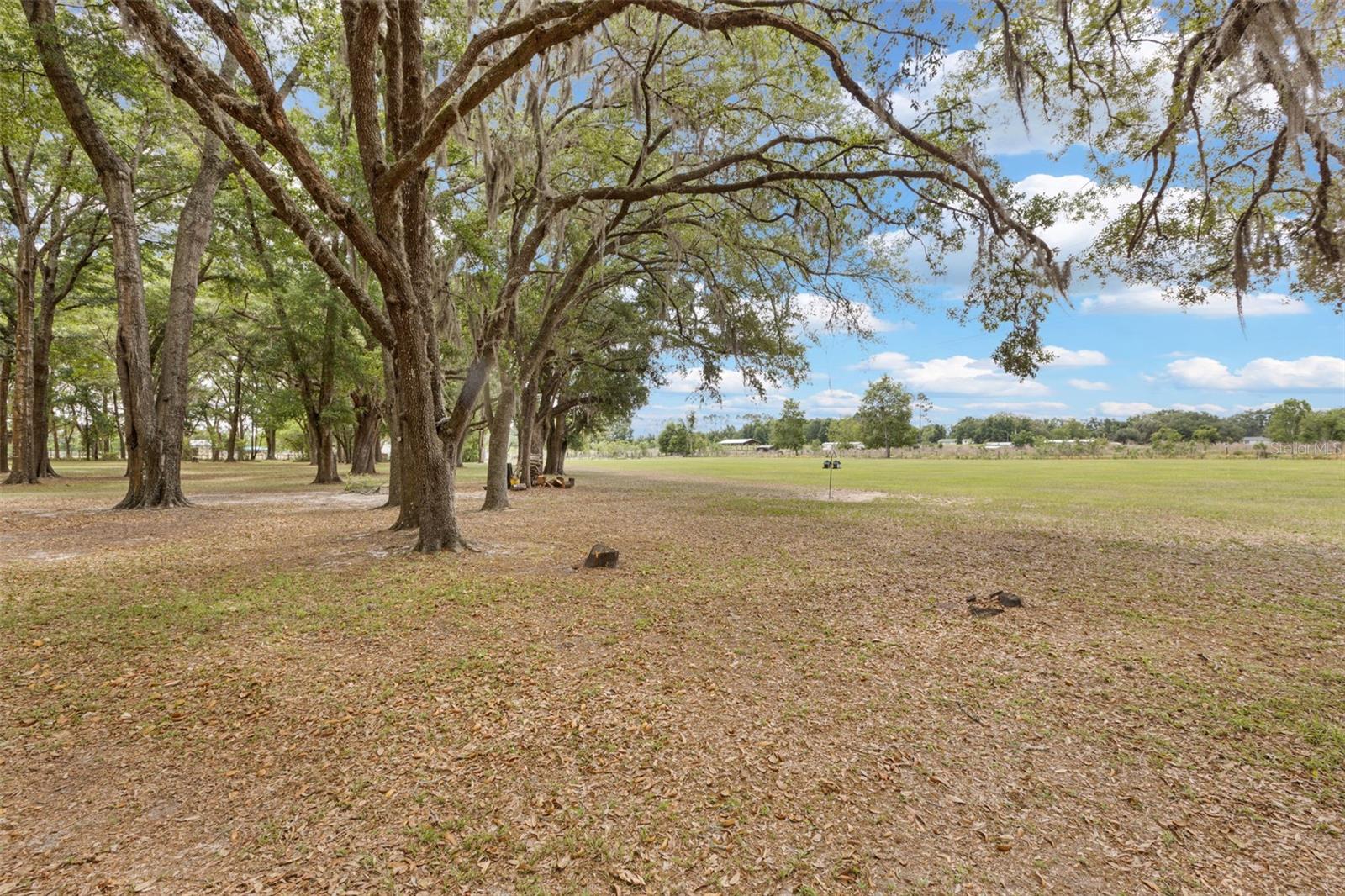 6689 SE 55TH ST, TRENTON, FL, 32693