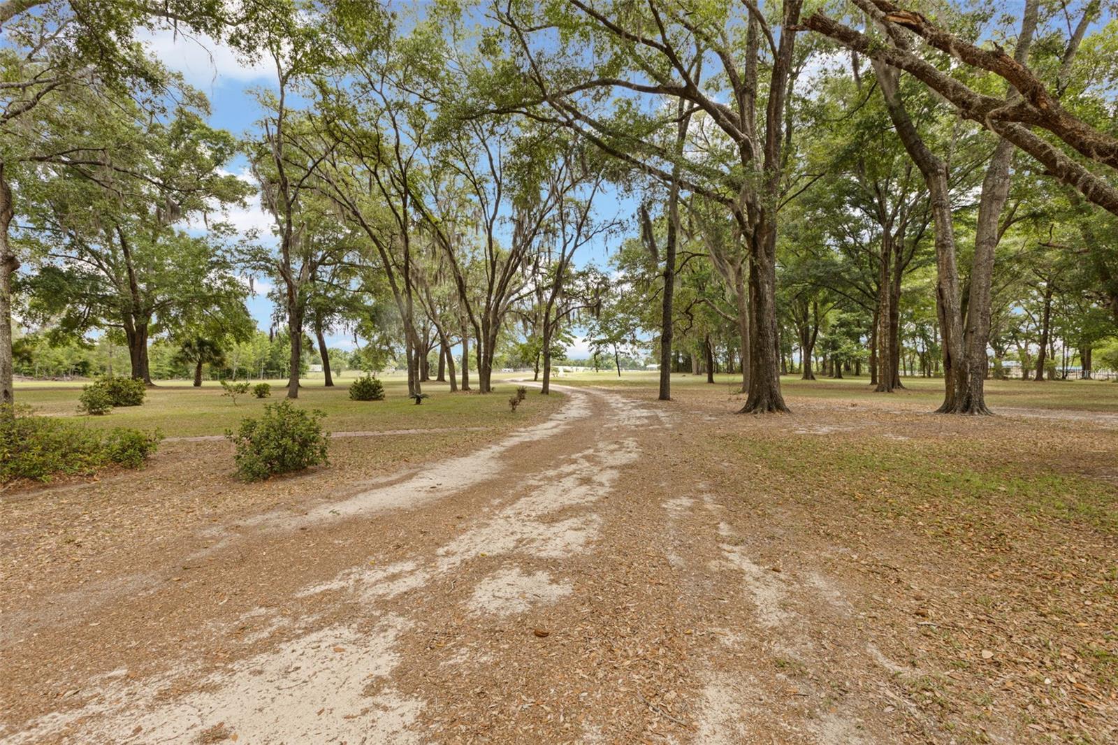 6689 SE 55TH ST, TRENTON, FL, 32693