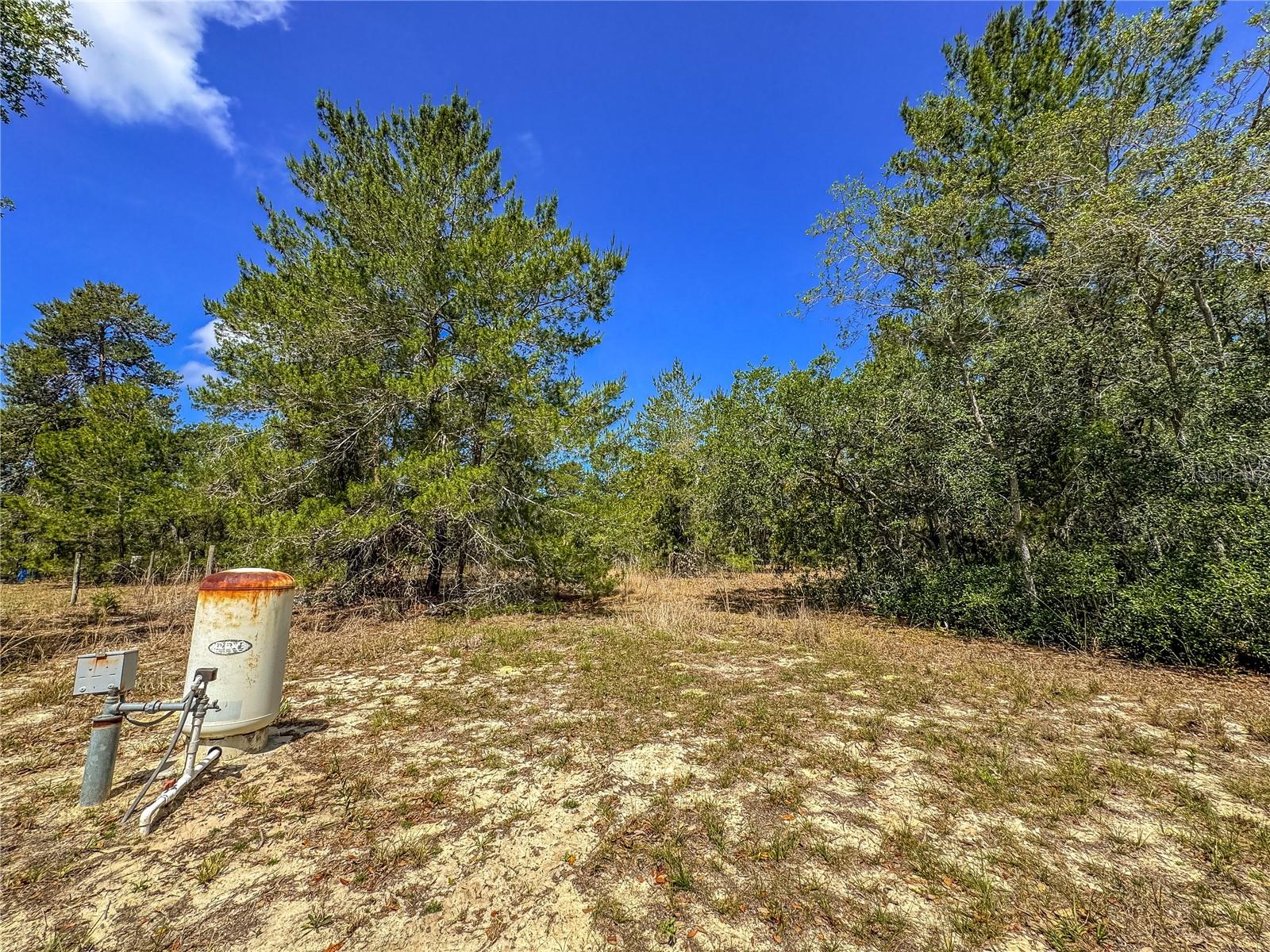 8431 MADISON ST, BROOKSVILLE, FL, 34613