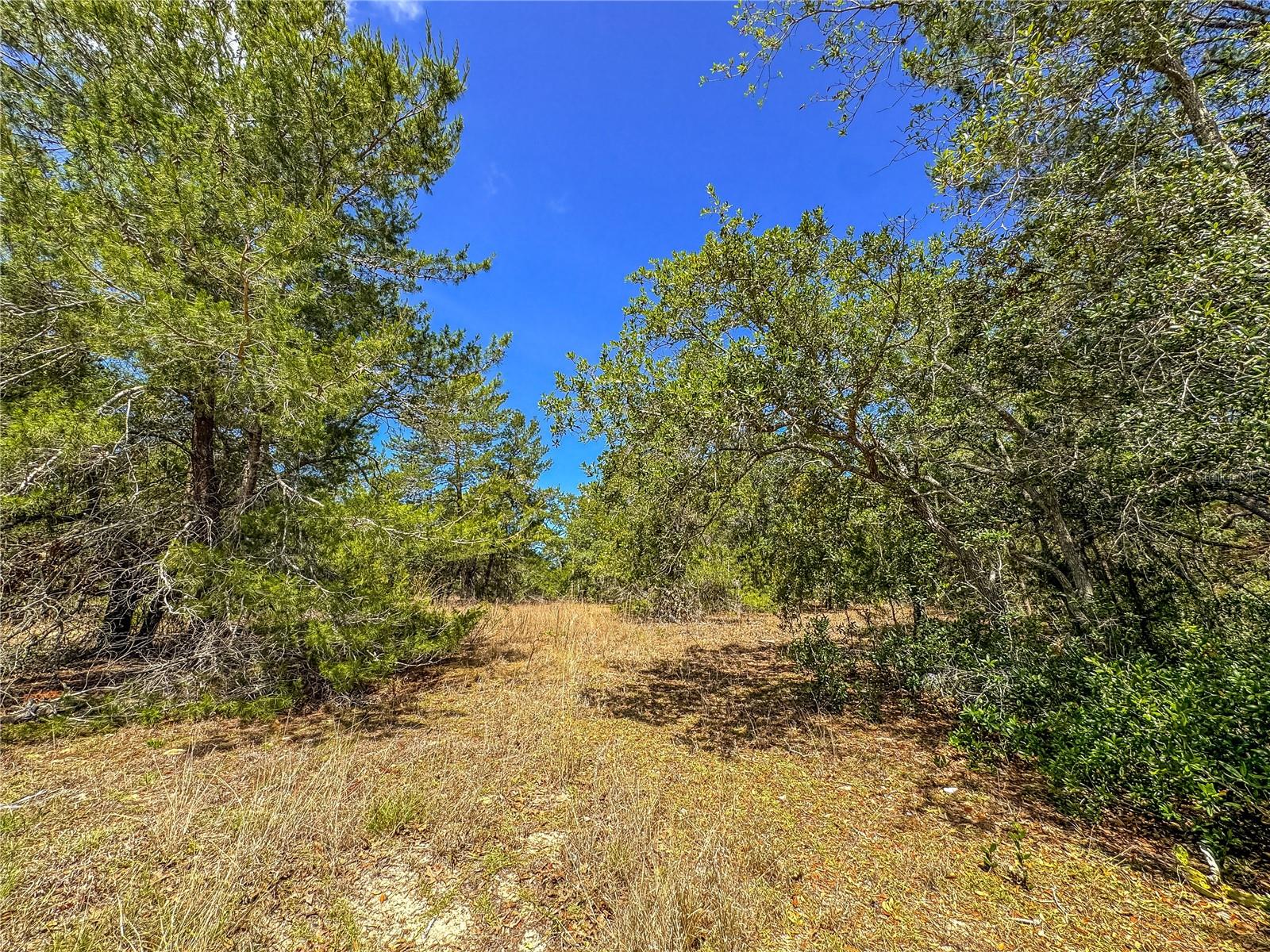 8431 MADISON ST, BROOKSVILLE, FL, 34613
