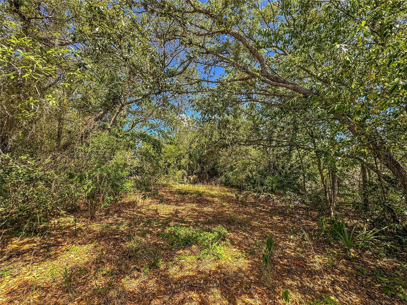 8431 MADISON ST, BROOKSVILLE, FL, 34613