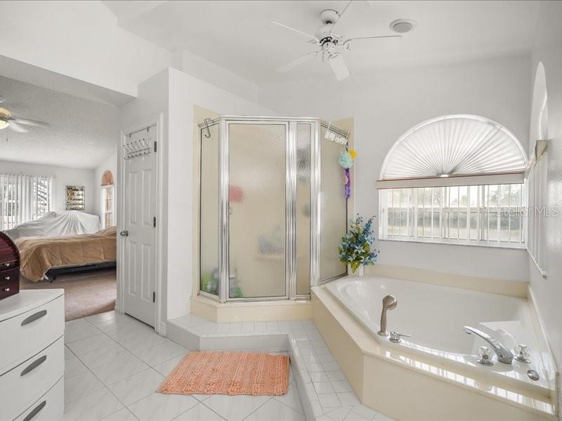 2325 N ROCHELLE AVE, KISSIMMEE, FL, 34746