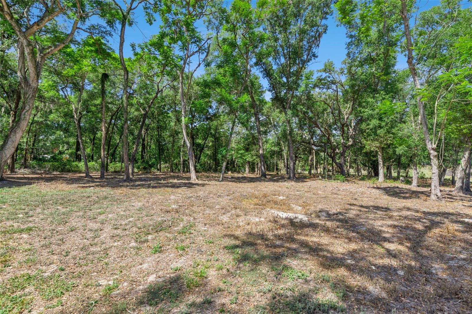 3932 WHITE HERON DR, ORLANDO, FL, 32808