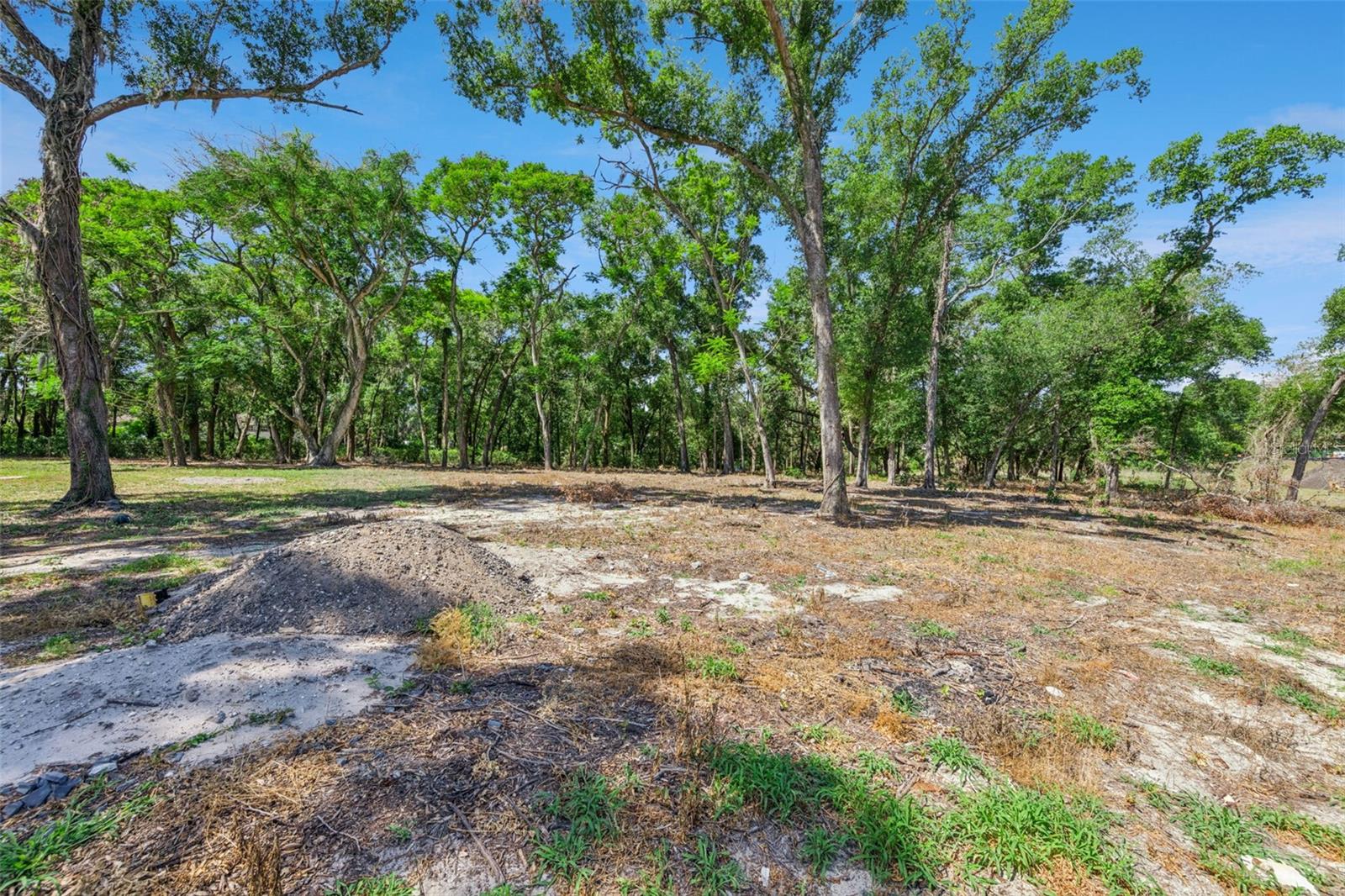 3932 WHITE HERON DR, ORLANDO, FL, 32808