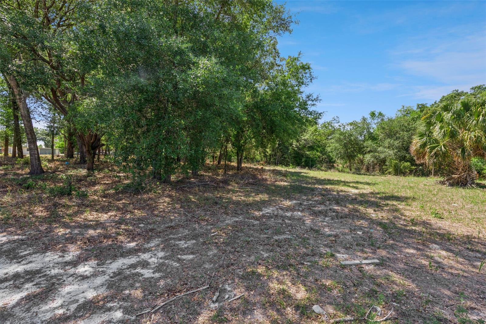 3932 WHITE HERON DR, ORLANDO, FL, 32808