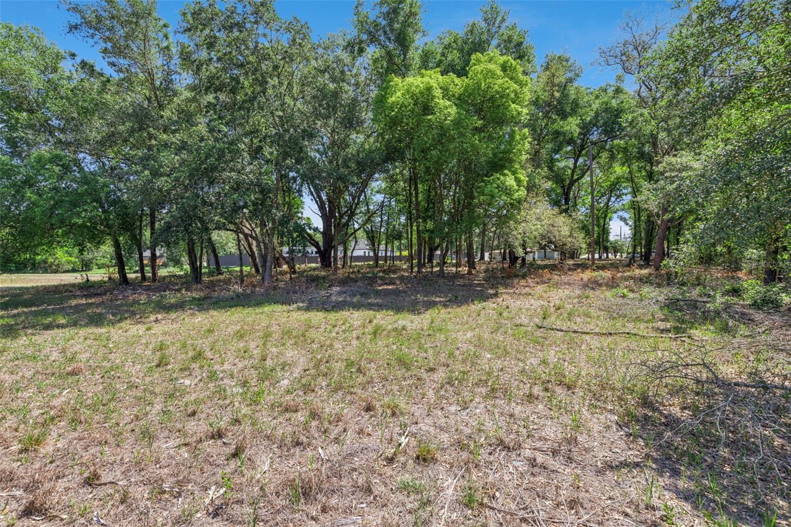 3932 WHITE HERON DR, ORLANDO, FL, 32808