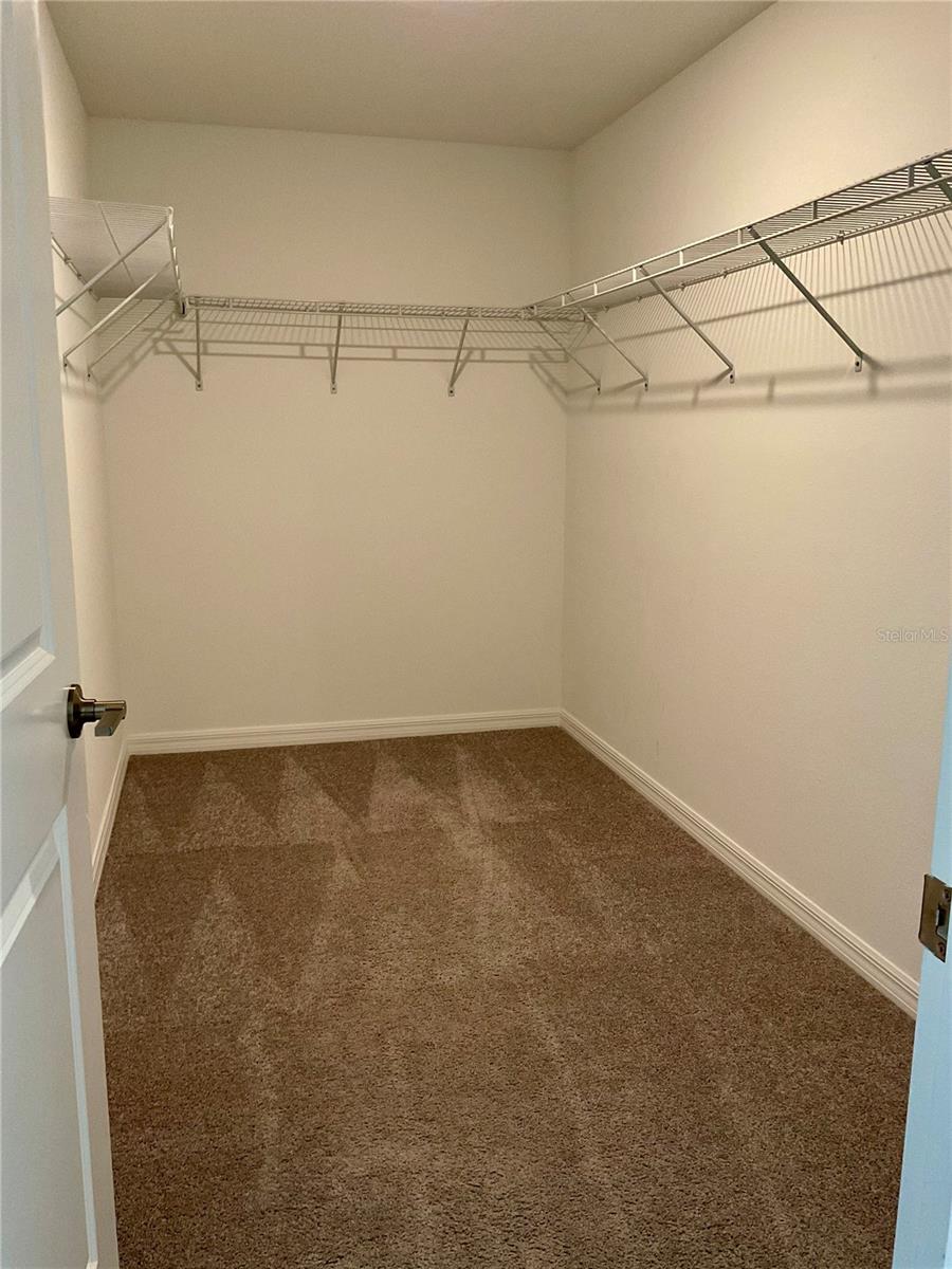 10380 LAVENDER ASTER TRL, SAN ANTONIO, FL, 33576