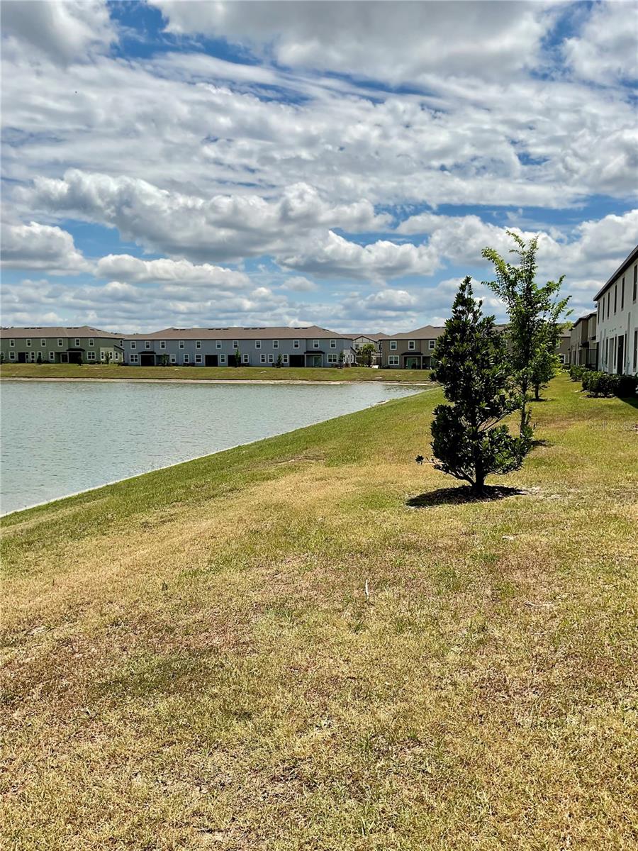 10380 LAVENDER ASTER TRL, SAN ANTONIO, FL, 33576