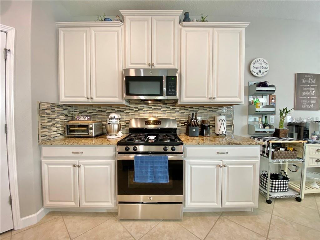1041 OLIVETO VERDI CT, BRANDON, FL, 33511