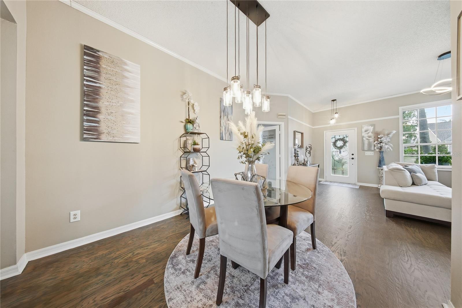 2009 RIVER PARK CT, VALRICO, FL, 33596