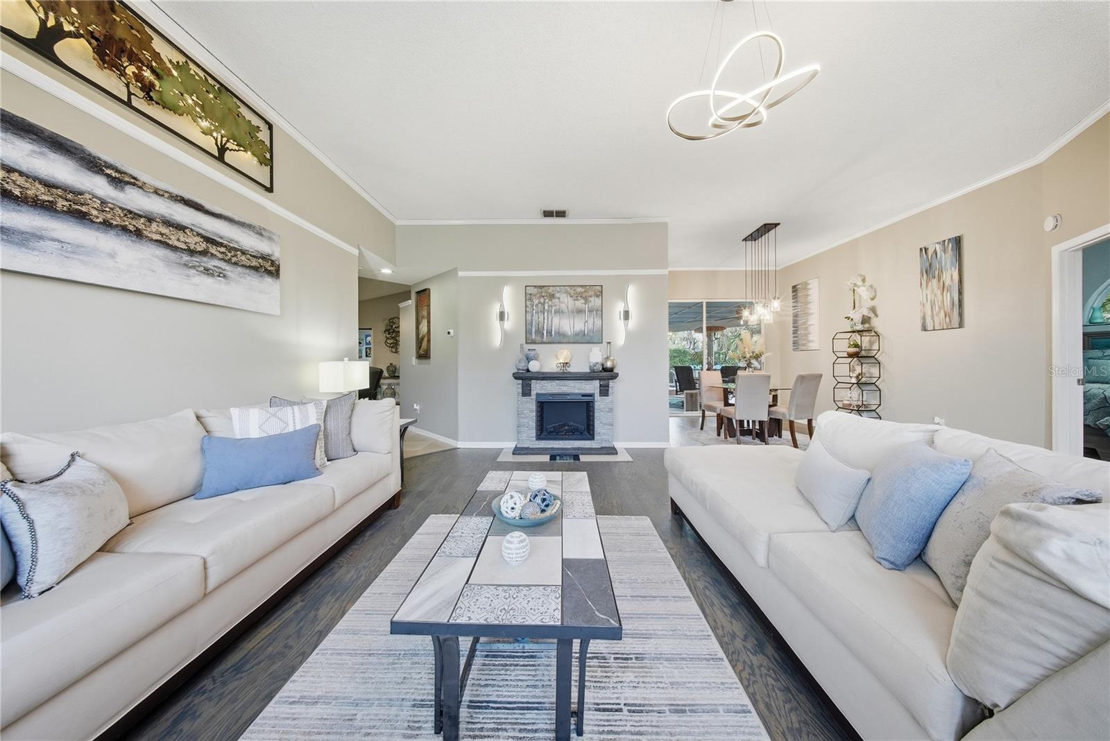 2009 RIVER PARK CT, VALRICO, FL, 33596