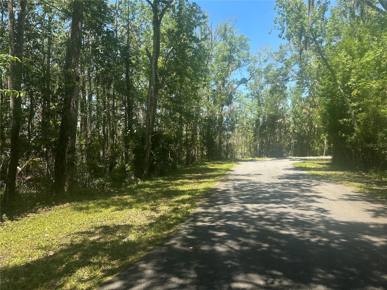 650 MILLER CREEK RD, CRYSTAL RIVER, FL, 34428