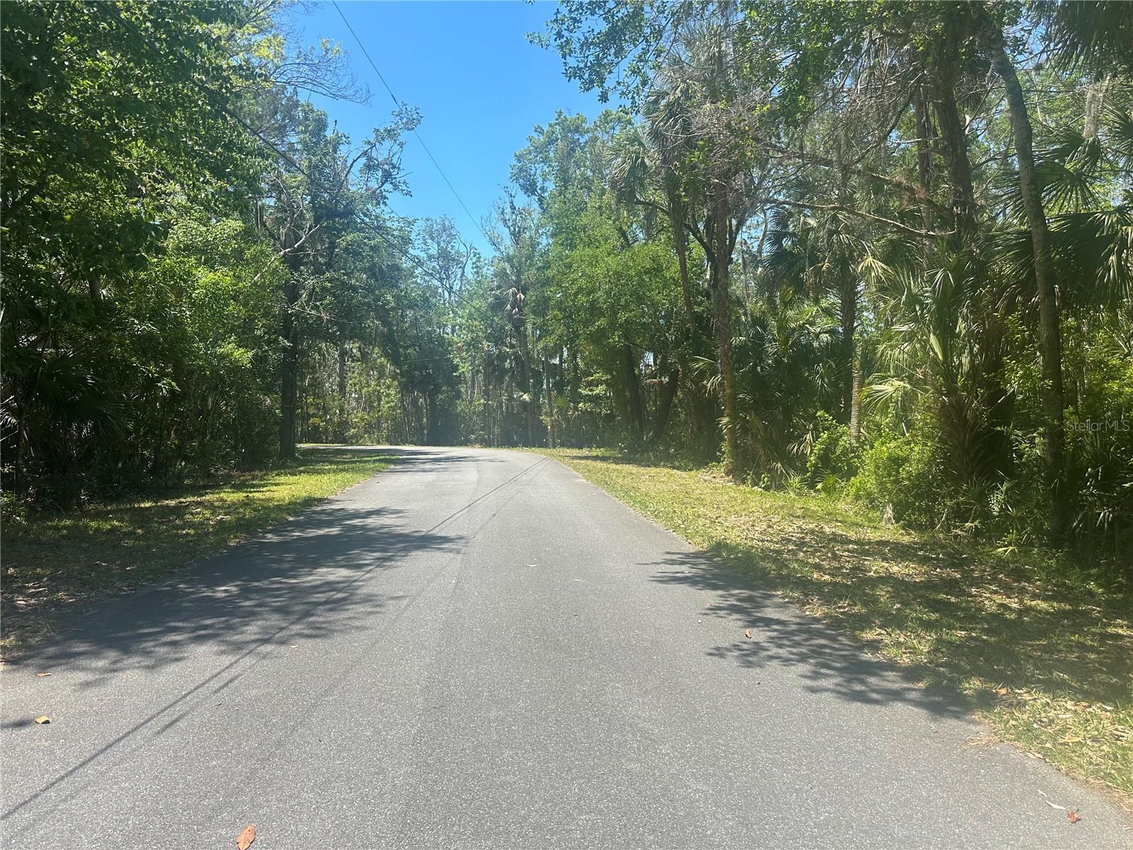 650 MILLER CREEK RD, CRYSTAL RIVER, FL, 34428