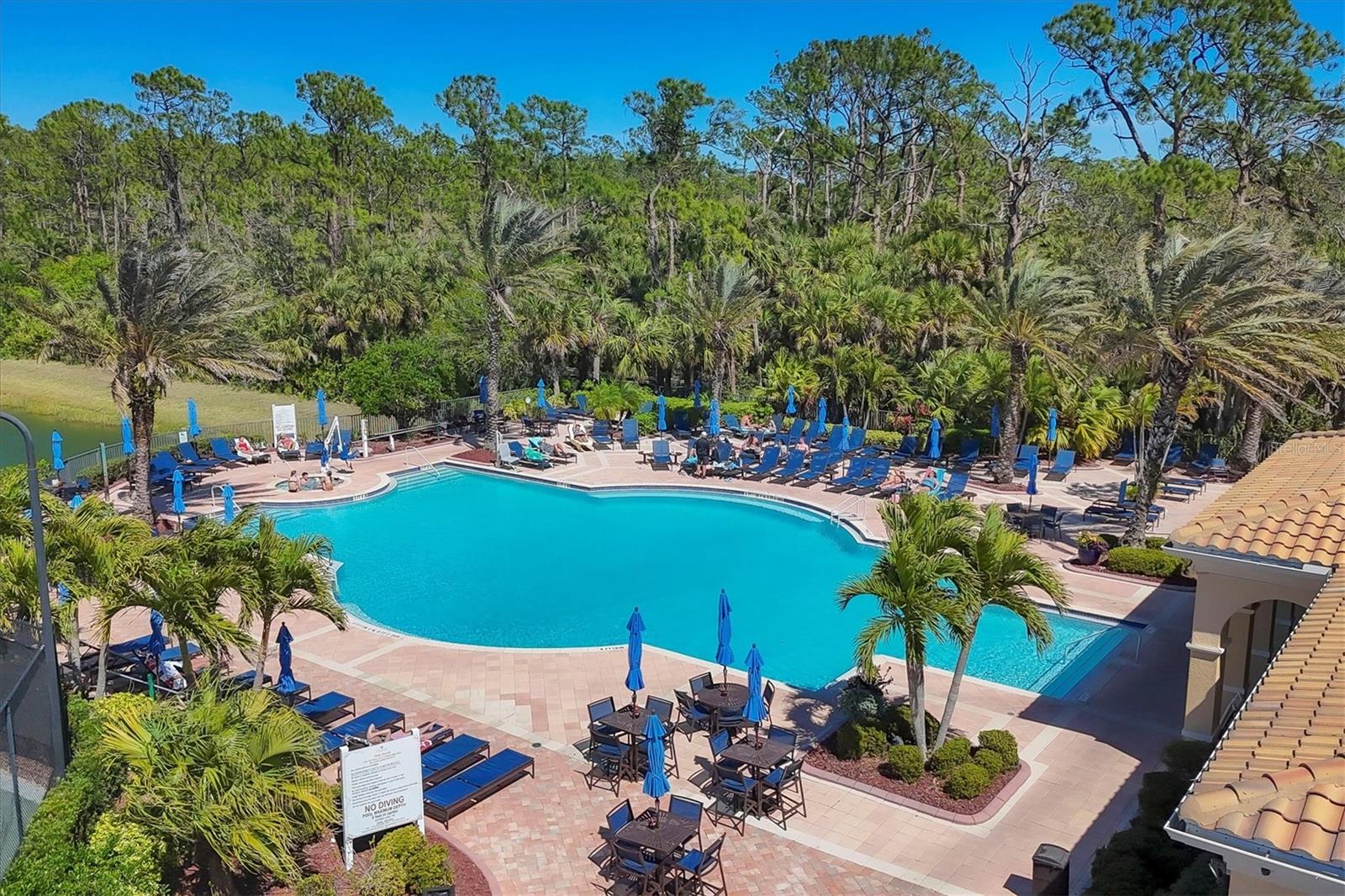 345 SAVONA WAY, NORTH VENICE, FL, 34275
