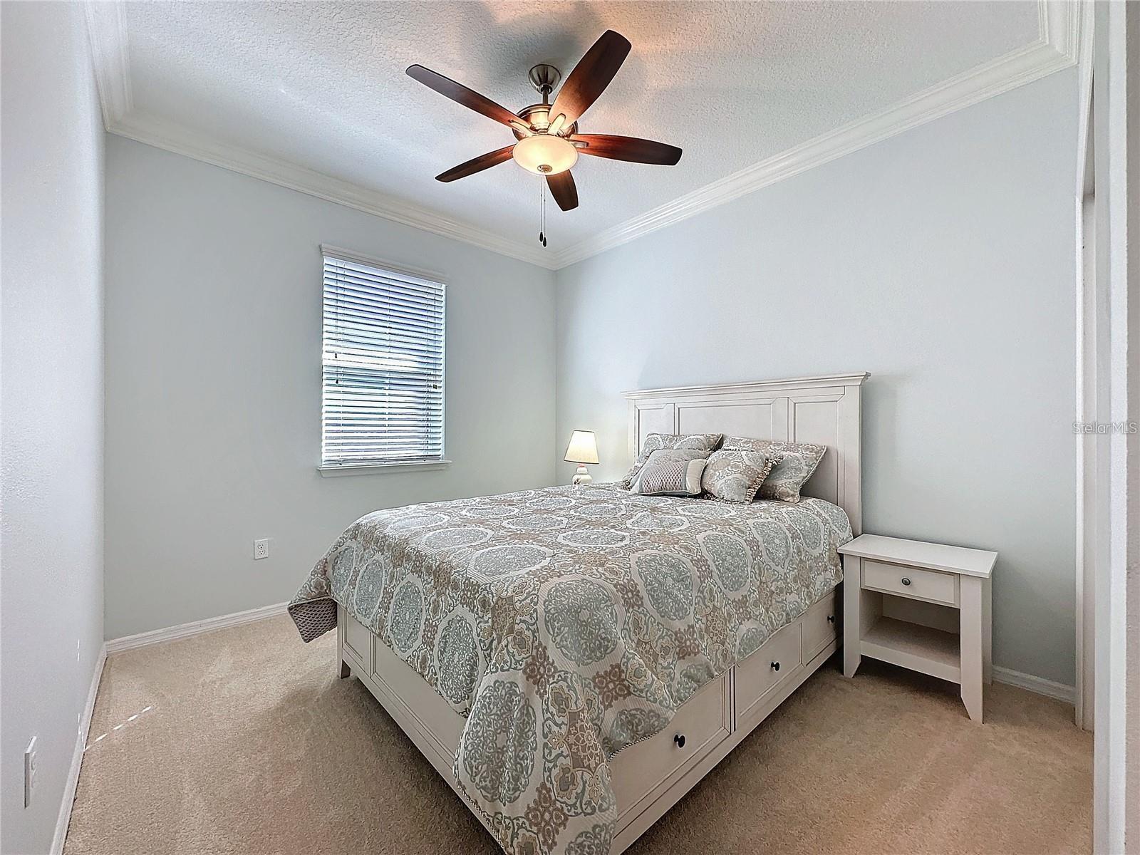209 SILVER MAPLE RD, GROVELAND, FL, 34736
