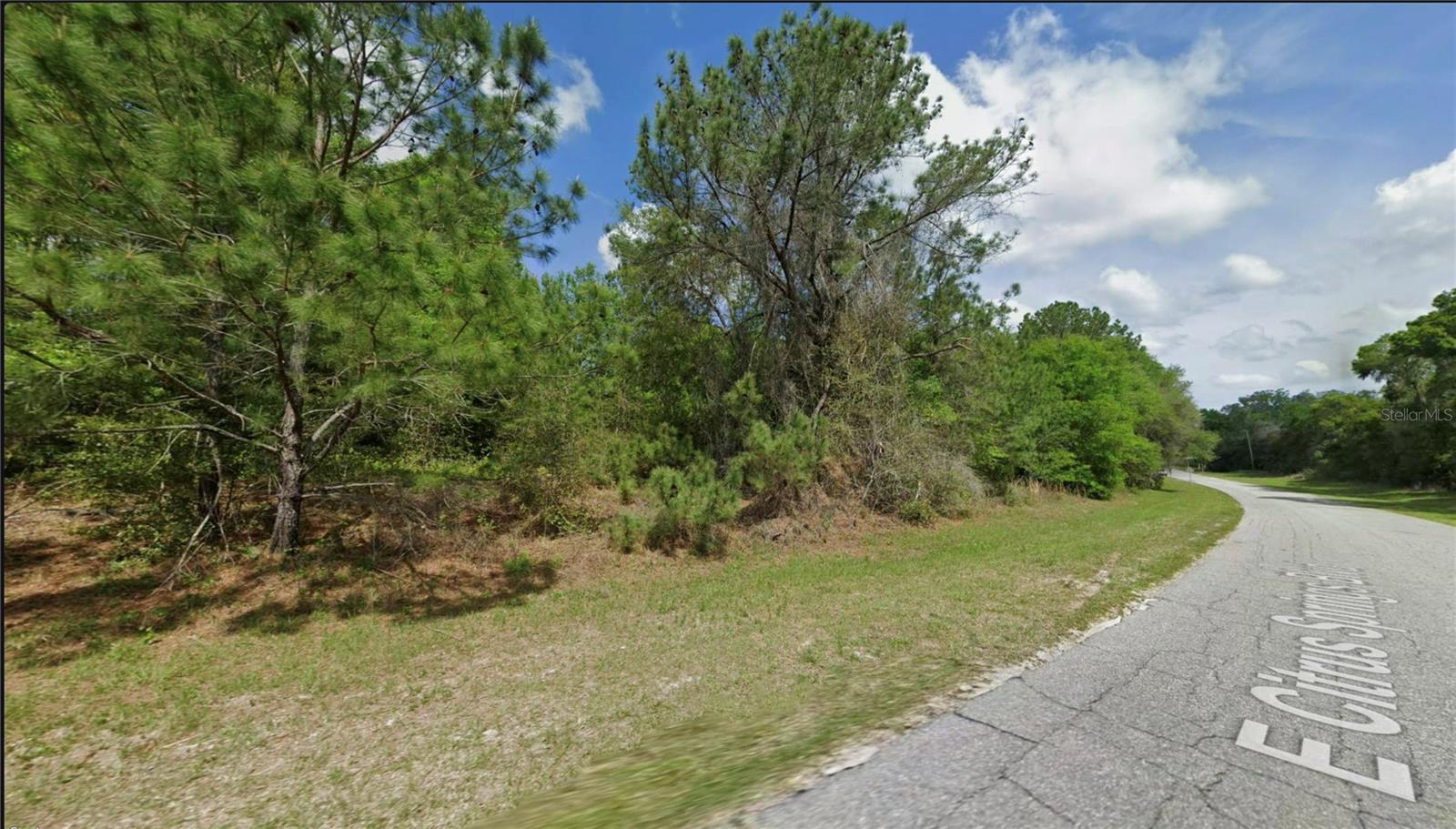 325 E CITRUS SPRINGS BLVD, CITRUS SPRINGS, FL, 34434
