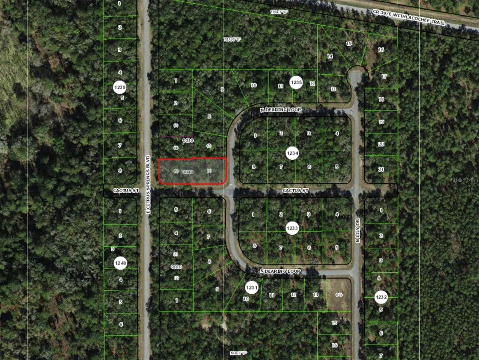 2054 E CITRUS SPRINGS BLVD, CITRUS SPRINGS, FL, 34434