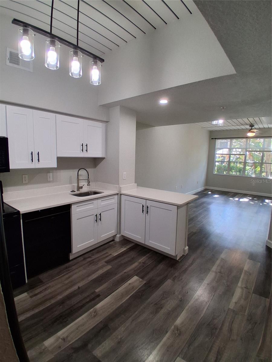 2402 W AZEELE ST #417, TAMPA, FL, 33609