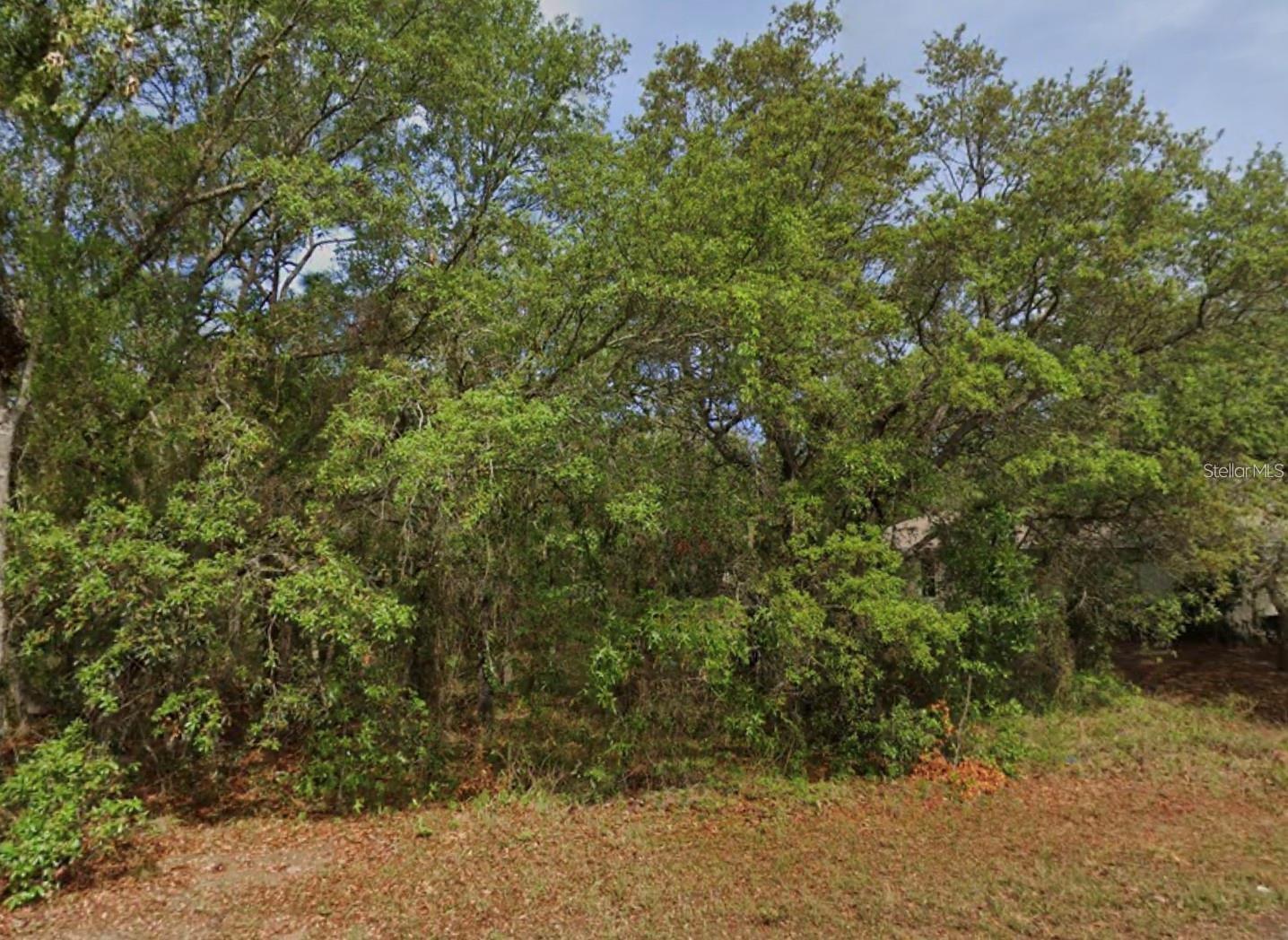 4 HONEYSUCKLE CT N, HOMOSASSA, FL, 34446