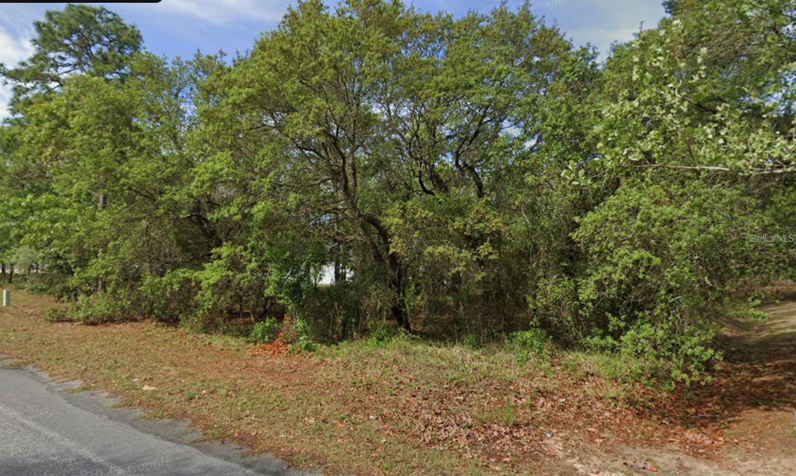 4 HONEYSUCKLE CT N, HOMOSASSA, FL, 34446