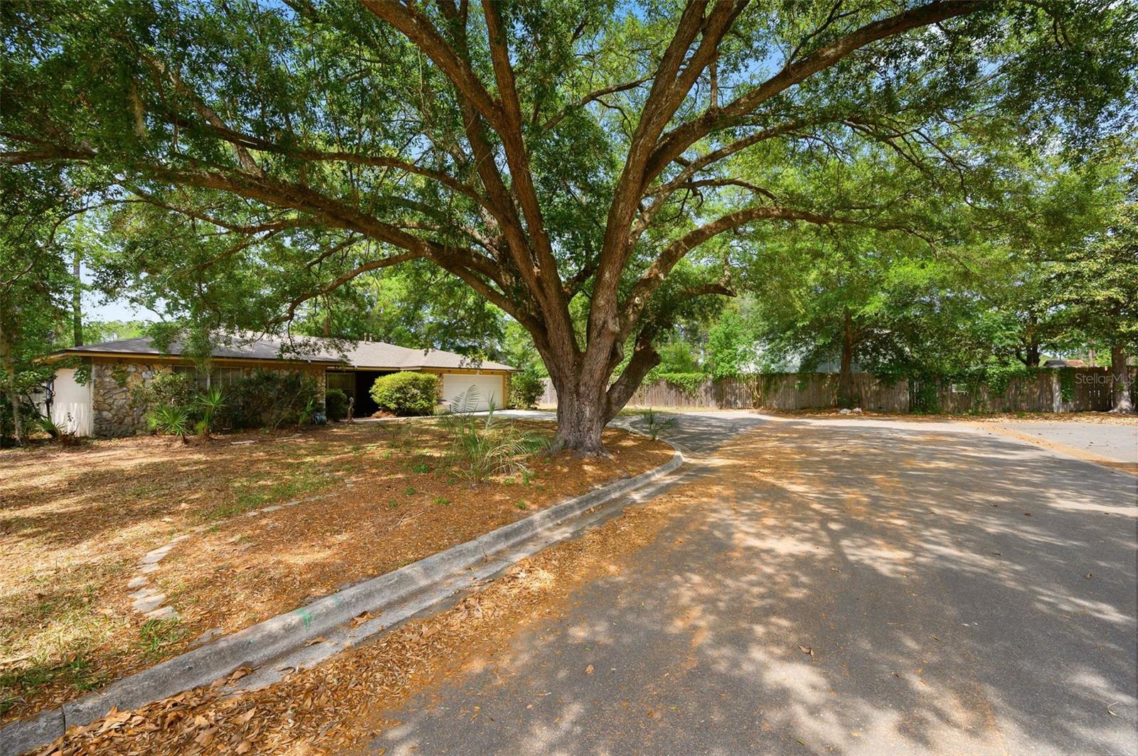 2416 NW 55TH BLVD, GAINESVILLE, FL, 32653