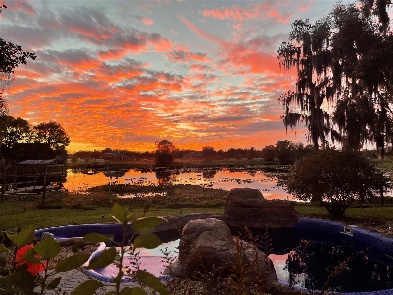 17520 BOY SCOUT RD, ODESSA, FL, 33556
