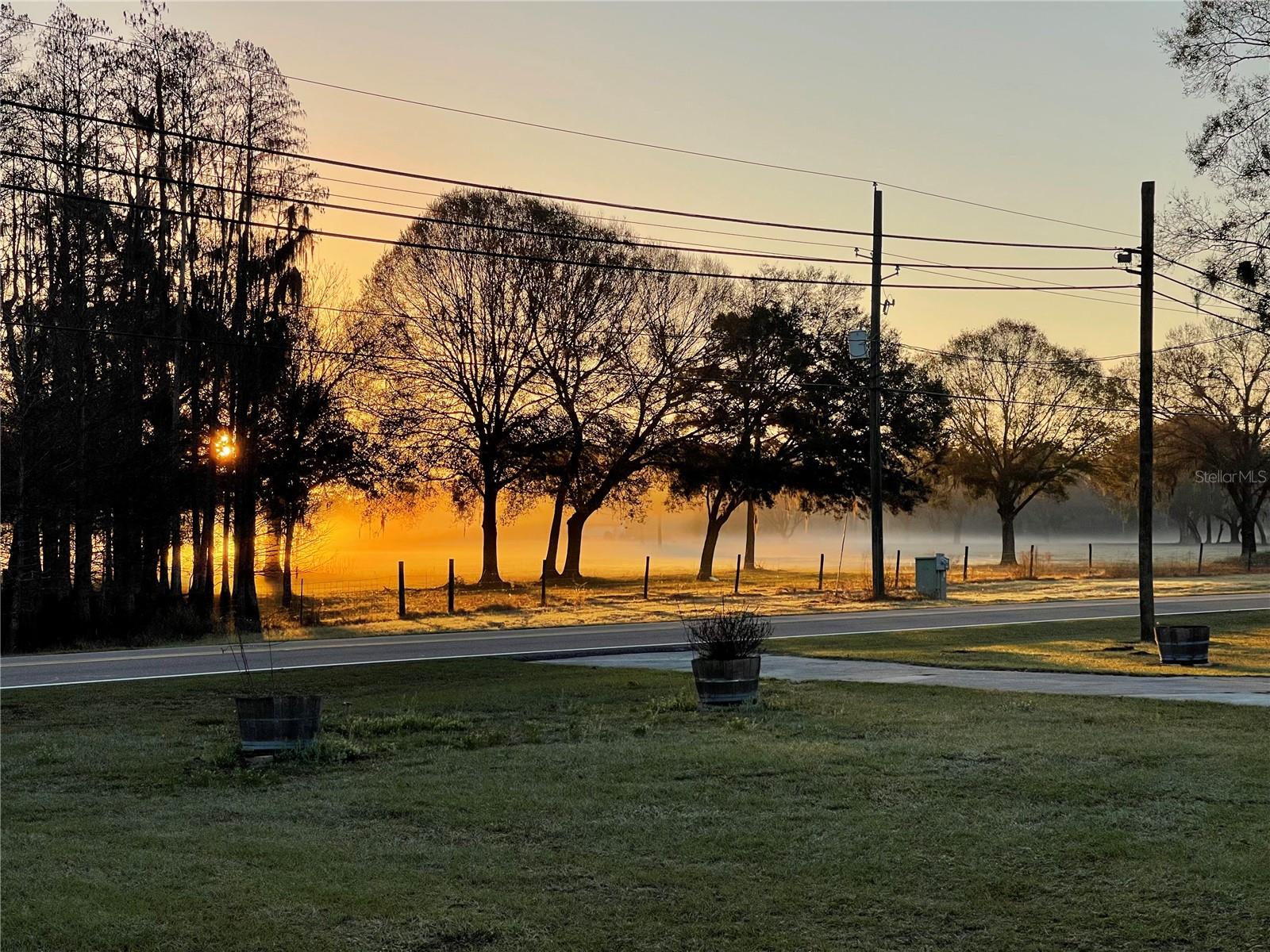 17520 BOY SCOUT RD, ODESSA, FL, 33556