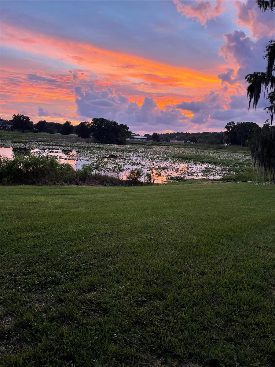17520 BOY SCOUT RD, ODESSA, FL, 33556