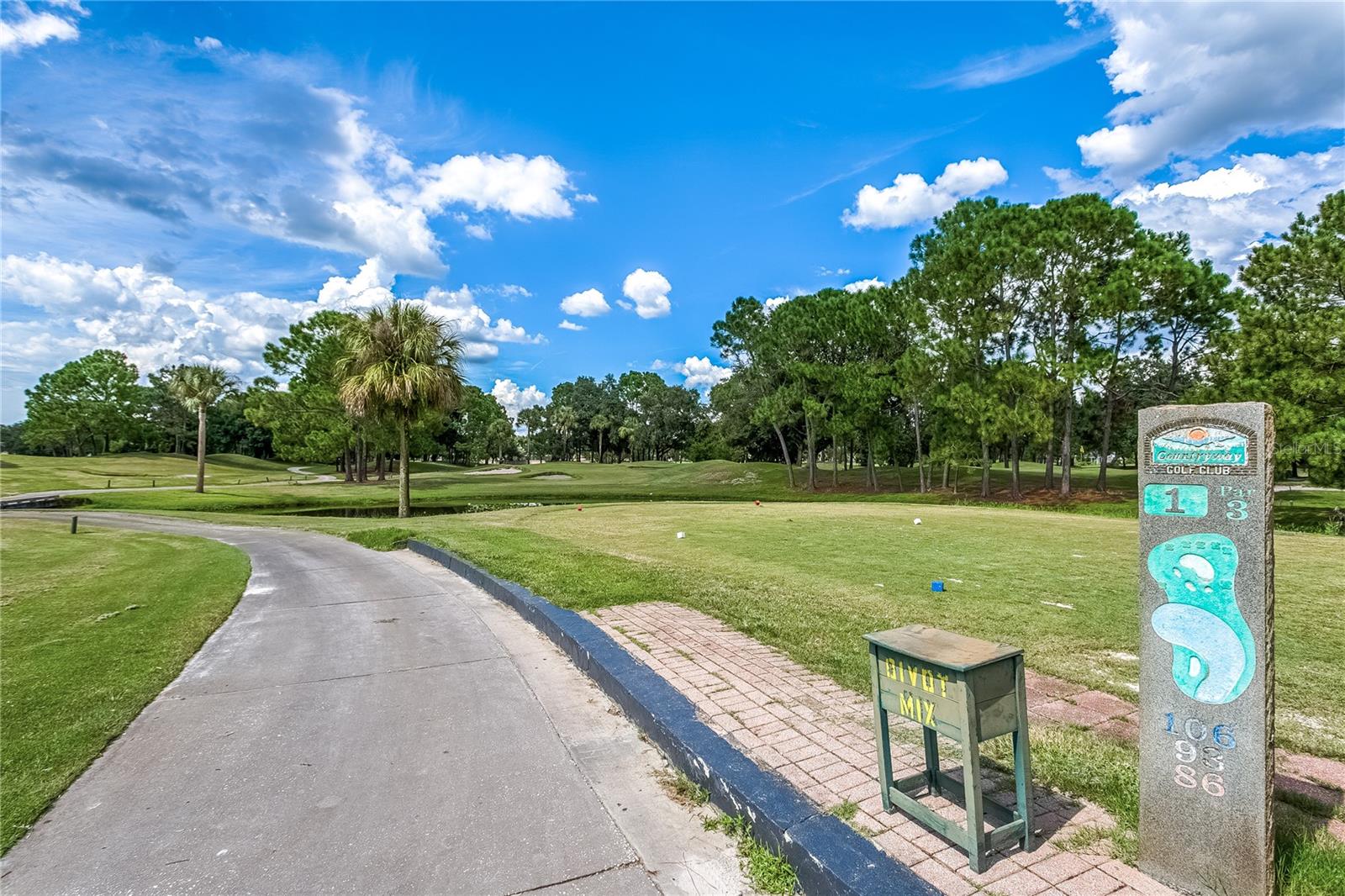 8601 TWIN FARMS PL, TAMPA, FL, 33635