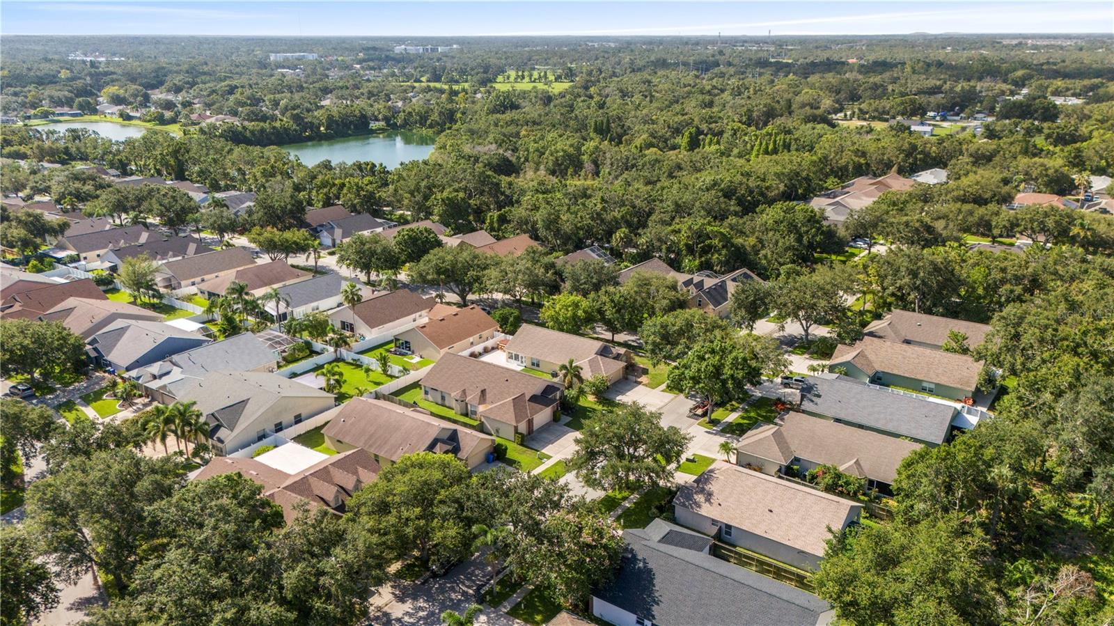 7105 BUCKS FORD DR, RIVERVIEW, FL, 33578