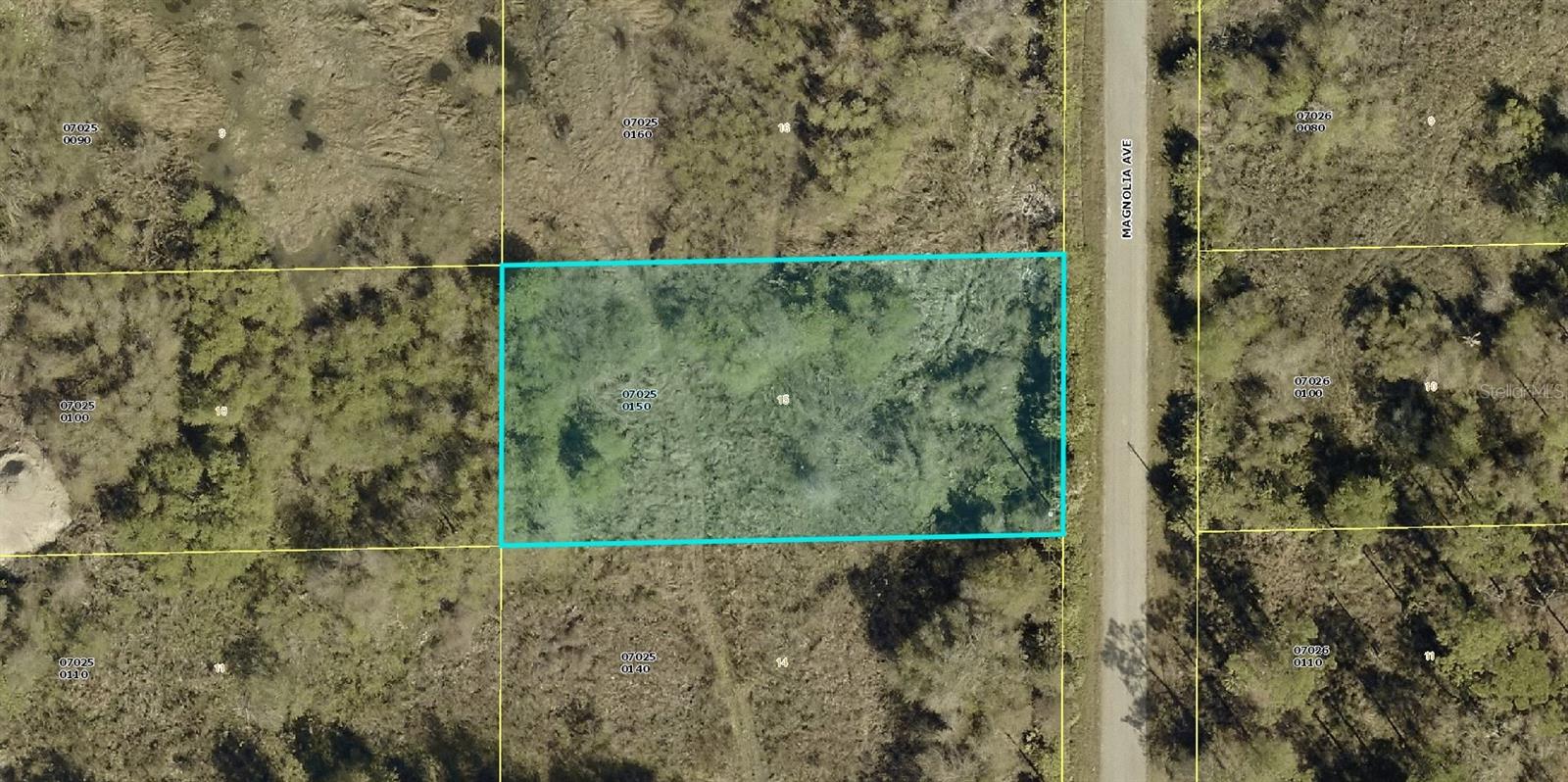 1405 MAGNOLIA AVE, LEHIGH ACRES, FL, 33972